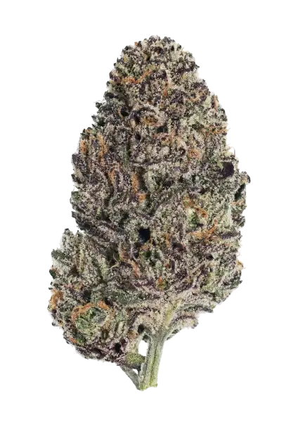 Photo of Lemon Cherry Runtz