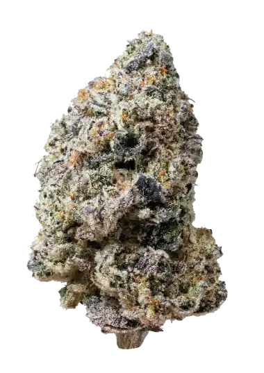 Photo of Biscotti Gelato