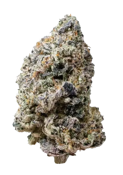 Photo of Biscotti Gelato