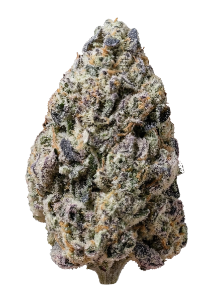 Biscotti Gelato