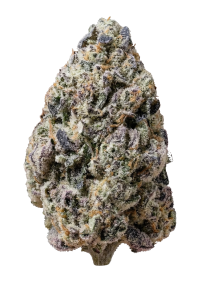 Biscotti Gelato™
