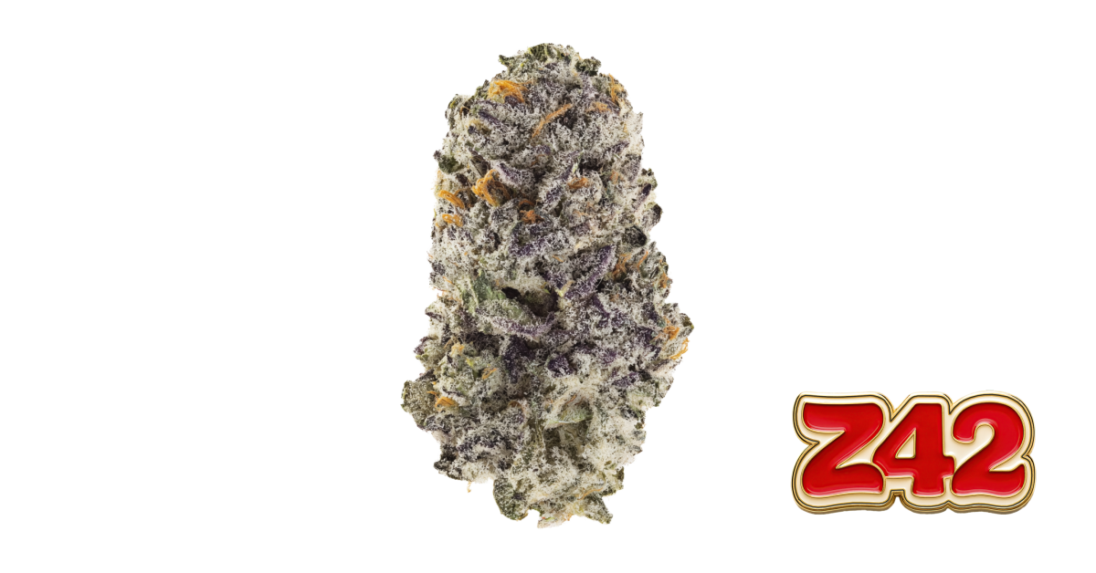 C-NIAL✴︎Insanely Rare✴︎Cool Mellow OG Z42™ Cannabis Seeds | 42 Fast Buds United States