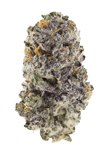 Z42 cannabis strain by Fast Buds