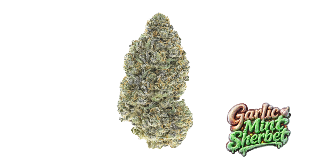 Garlic Mint Sherbet — breeder photo