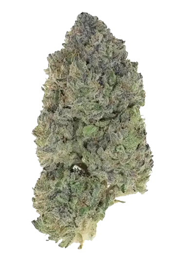 Photo of Garlic Mint Sherbet