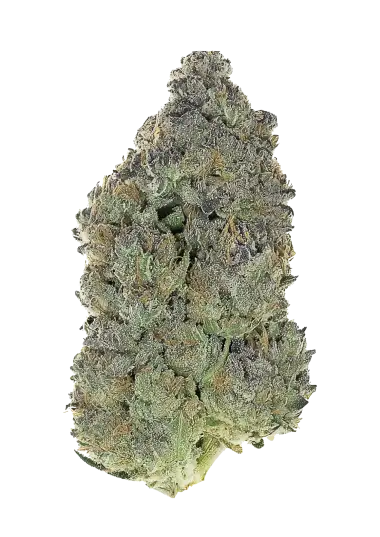 Photo of Garlic Mint Sherbet