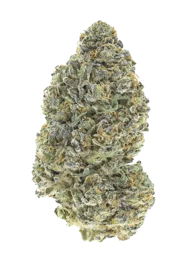 Photo of Garlic Mint Sherbet