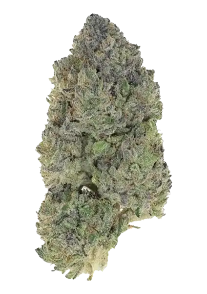 Photo of Garlic Mint Sherbet