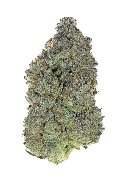 Photo of Garlic Mint Sherbet