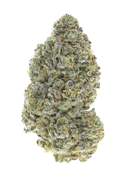 Garlic Mint Sherbet