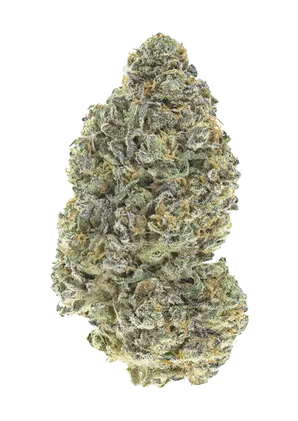 Photo of Garlic Mint Sherbet