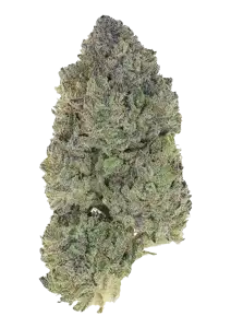 Photo of Garlic Mint Sherbet
