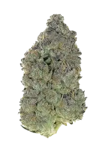 Photo of Garlic Mint Sherbet