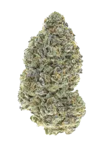 Photo of Garlic Mint Sherbet