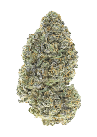 Garlic Mint Sherbet™