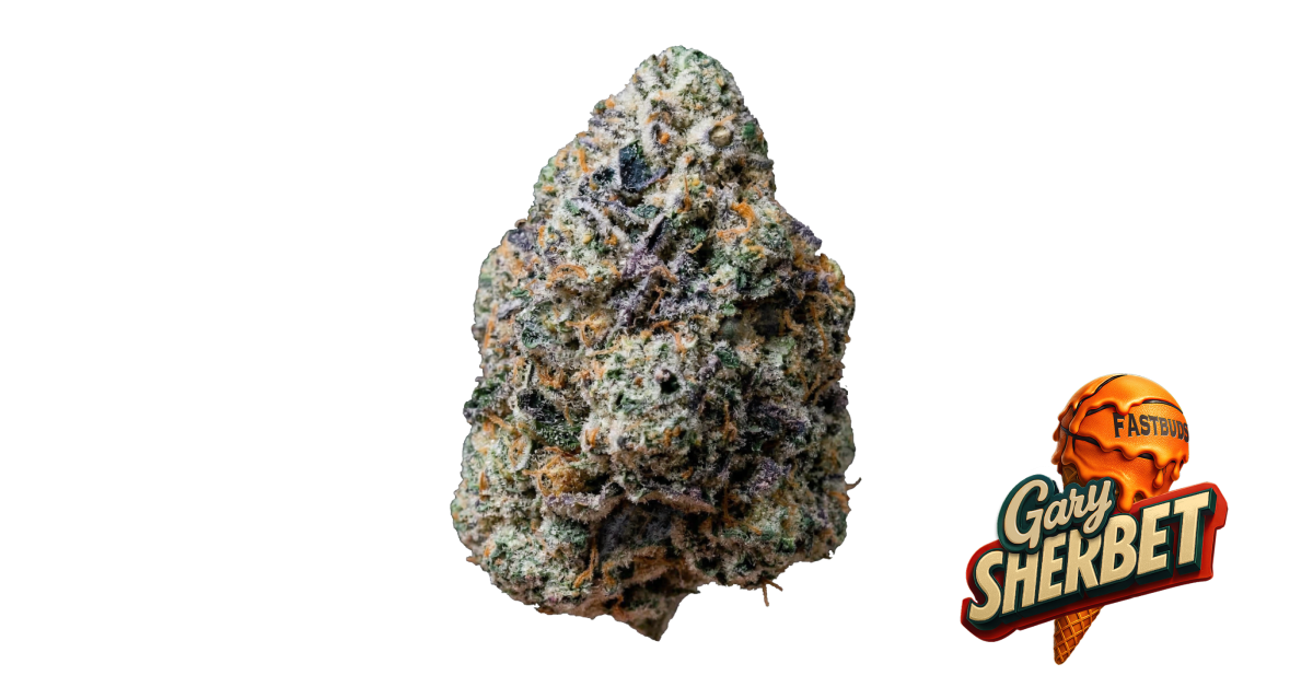Gary Sherbet — breeder photo