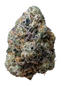 Photo of Gary Sherbet