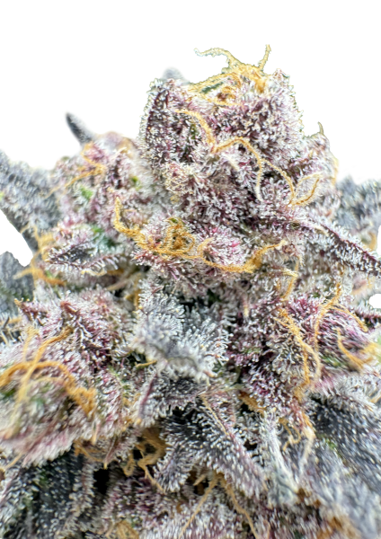 Cherry Cola RF3 Auto