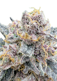 Cherry Cola Auto RF3™