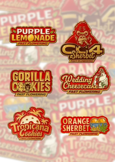 Photo of Mix Pack FF