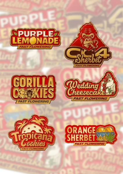 Photo of Mix Pack FF