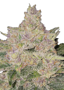 Banana Cherry Cookies Auto