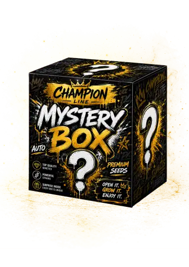 Photo of Mystery Box Champion Line