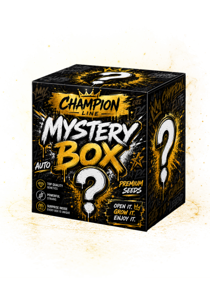 Mystery Box Champion Line
