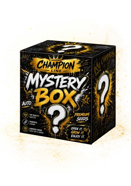 Photo of Mystery Box Champion Line