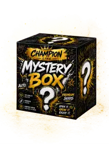 Photo of Mystery Box Champion Line