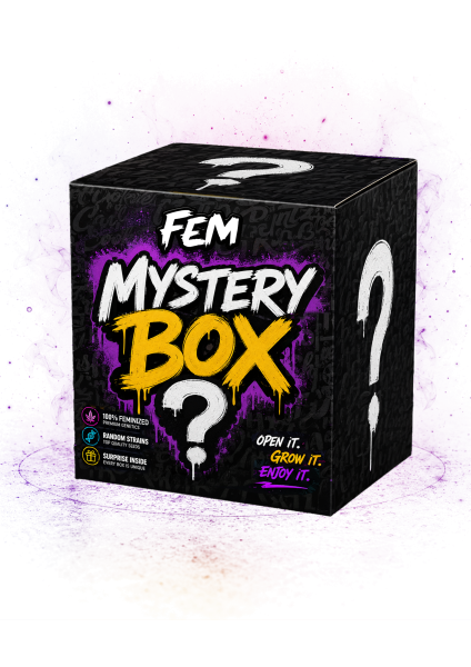 Mystery Box Fem