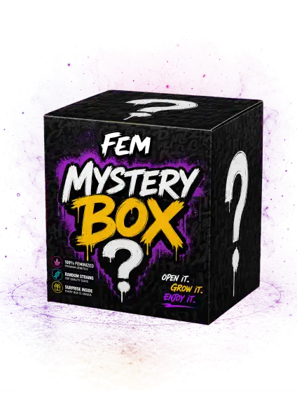 Photo of Mystery Box Fem