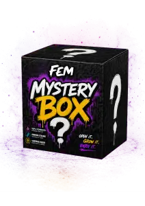 Photo of Mystery Box Fem