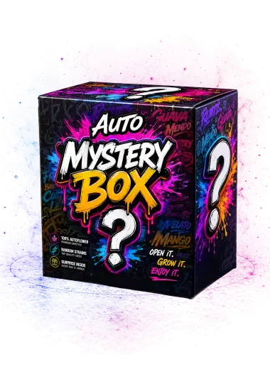 Photo of Mystery Box Auto