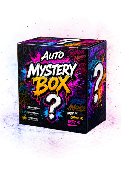 Mystery Box Auto