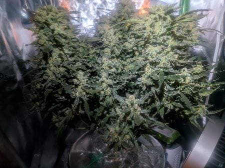 Review photo #2