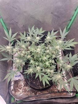 Review photo #2