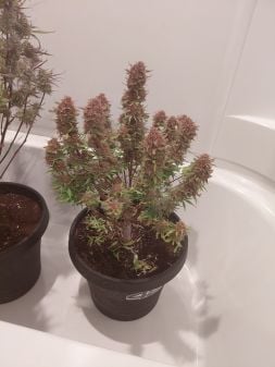 Review photo #2