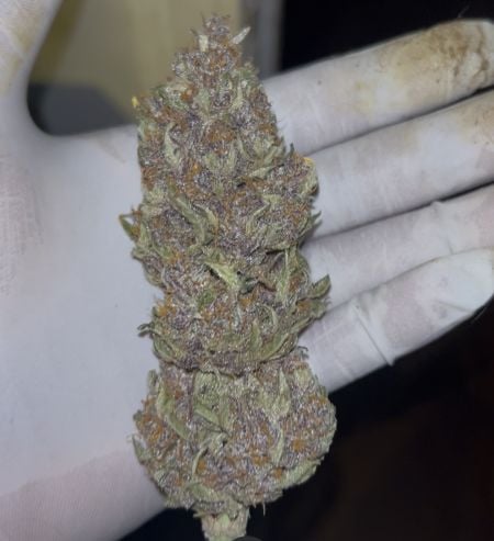 Review photo #2