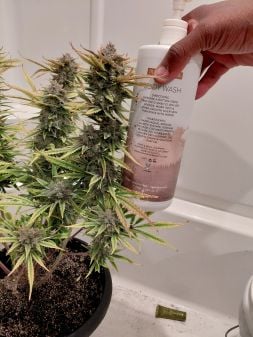 Review photo #2