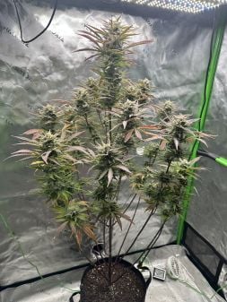 Review photo #2