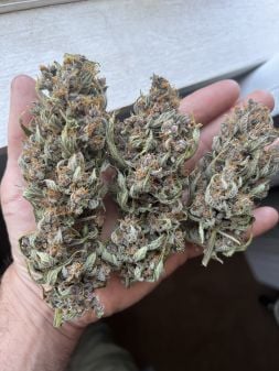 Review photo #5