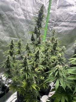 Review photo #2