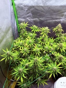 Review photo #2