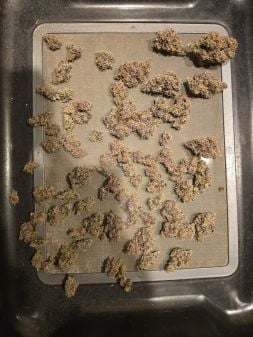 Review photo #6
