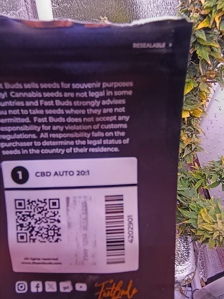 Review photo #1