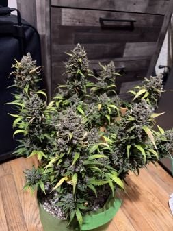 Review photo #2