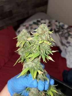 Review photo #3