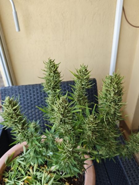Review photo #3