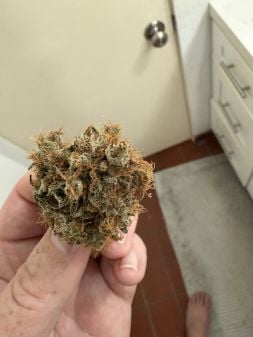 Review photo #1
